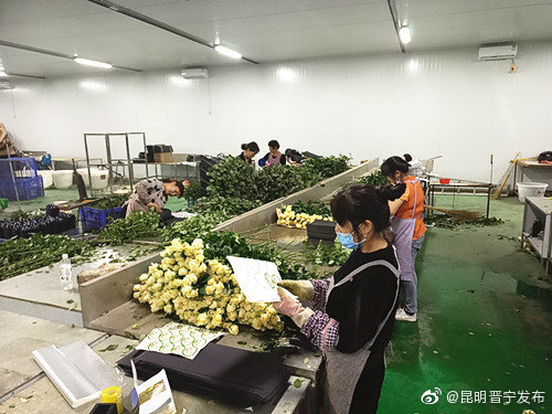 “昆明晋宁发布”微博