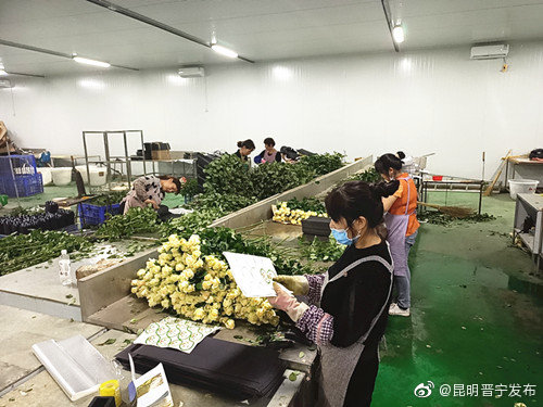 “昆明晋宁发布”微博