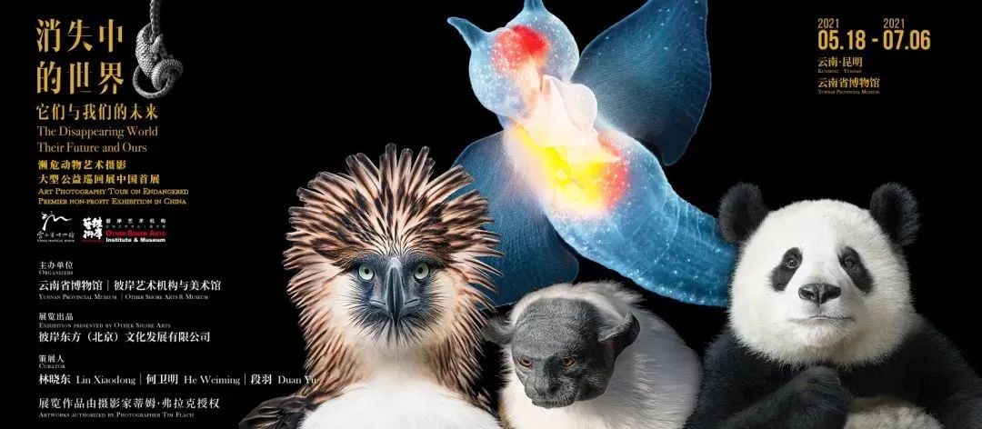 云南信息报(微信)