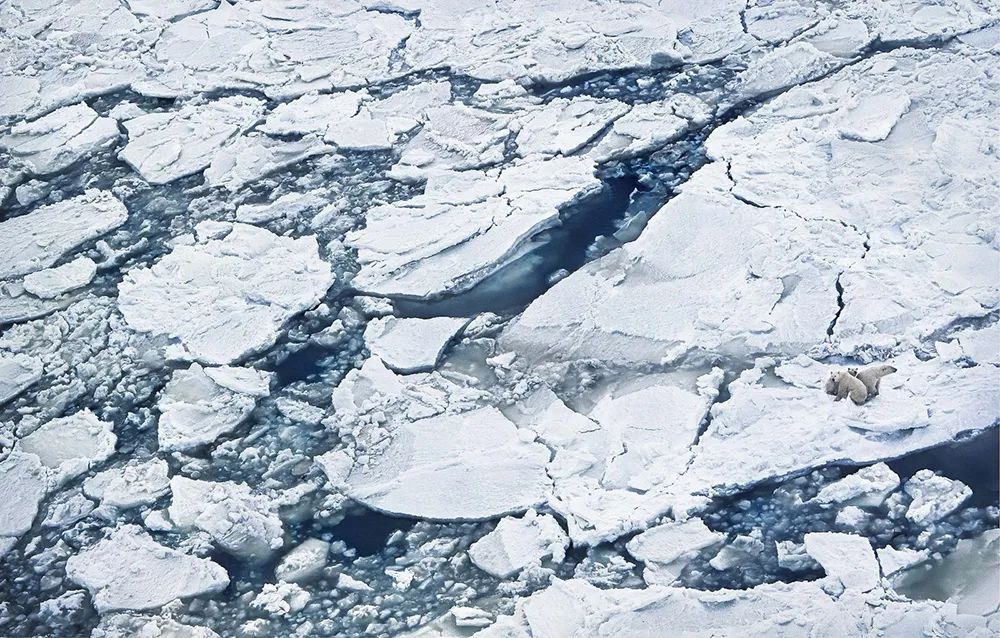 云南信息报(微信)