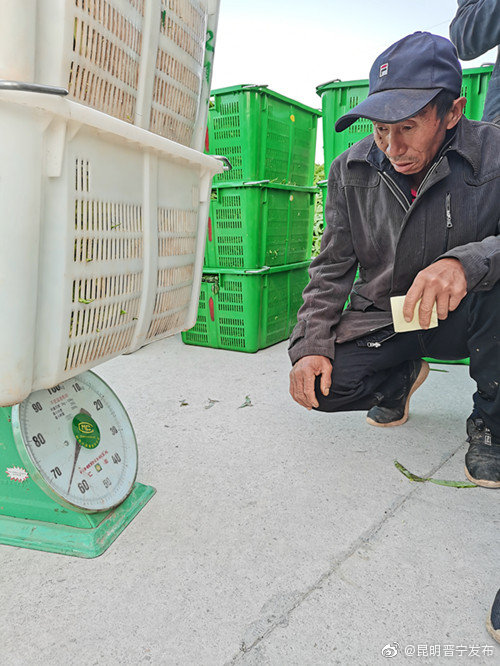 “昆明晋宁发布”微博