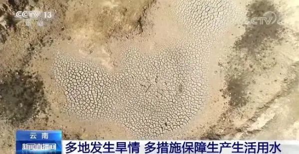 掌上春城(微信)