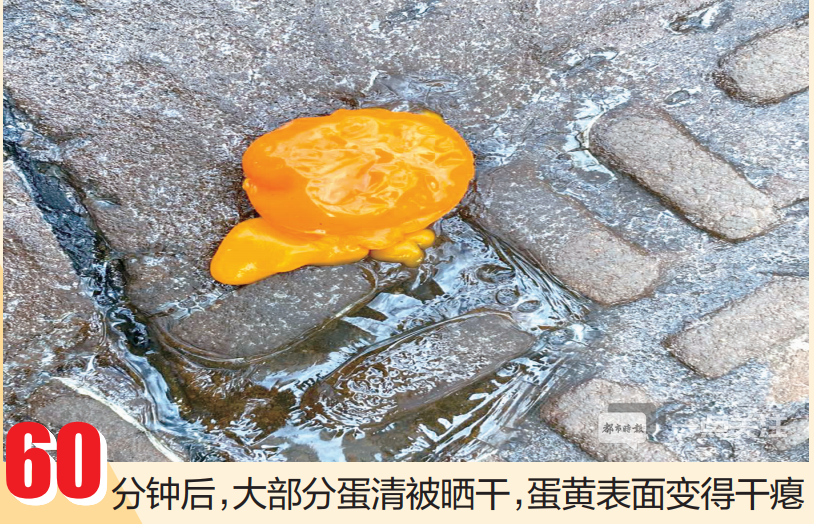 掌上春城(微信)
