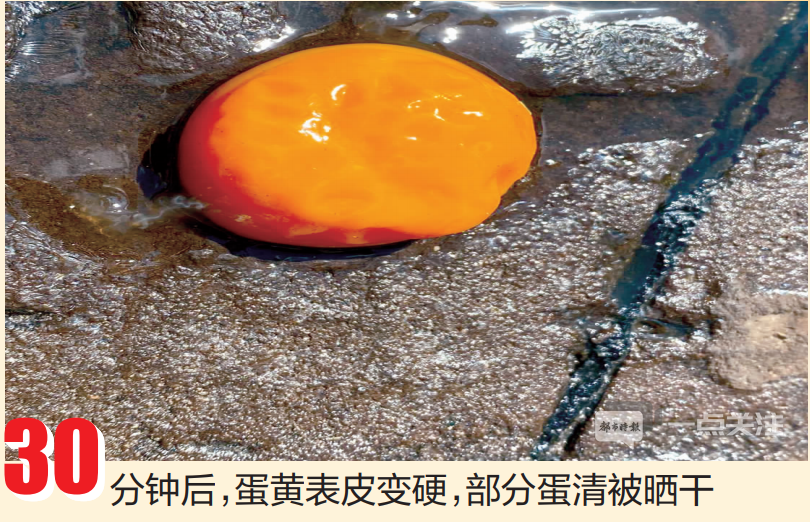 掌上春城(微信)