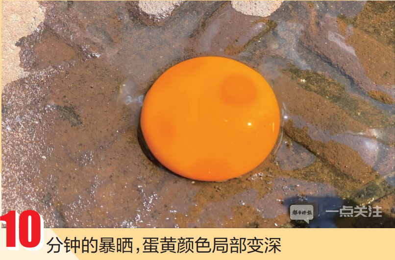 掌上春城(微信)