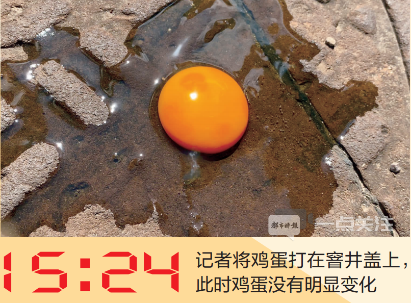 掌上春城(微信)