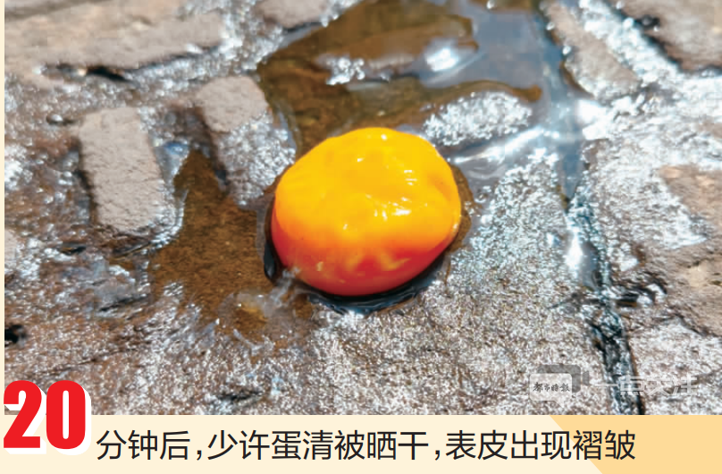 掌上春城(微信)