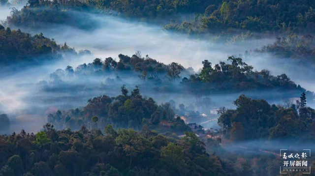 春城晚报(微信)