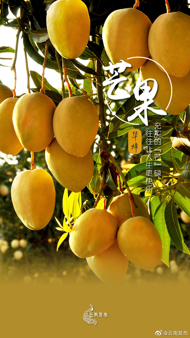 “云南发布”微博