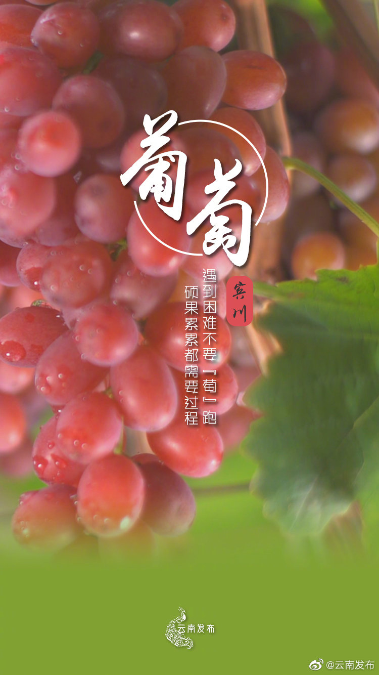 “云南发布”微博