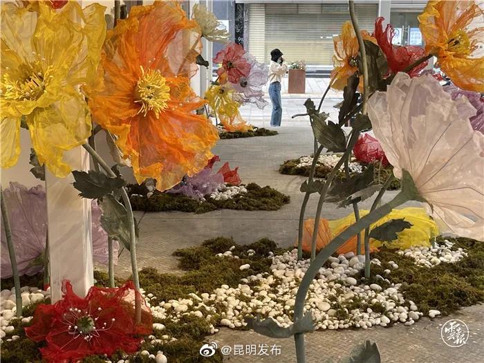 “昆明发布”微博