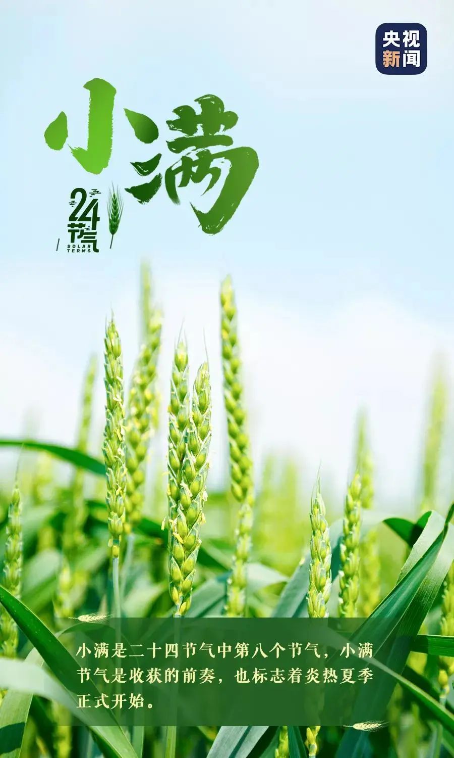 玉溪发布(微信)