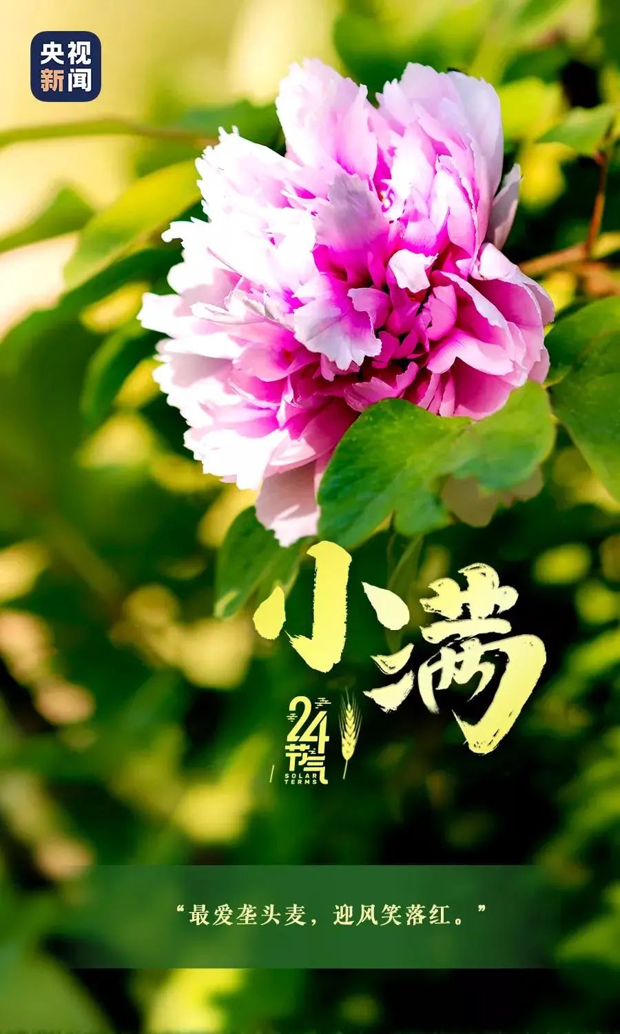 玉溪发布(微信)