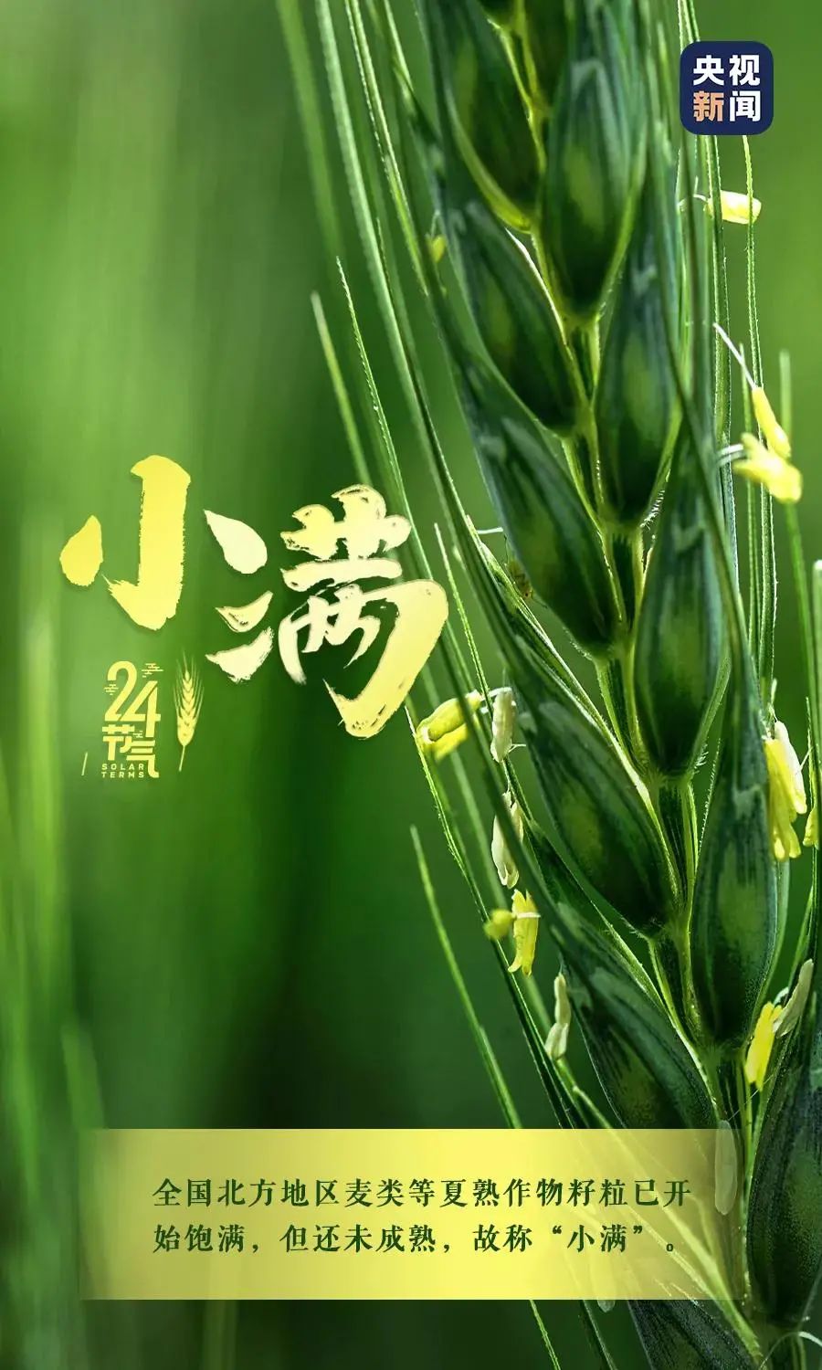 玉溪发布(微信)