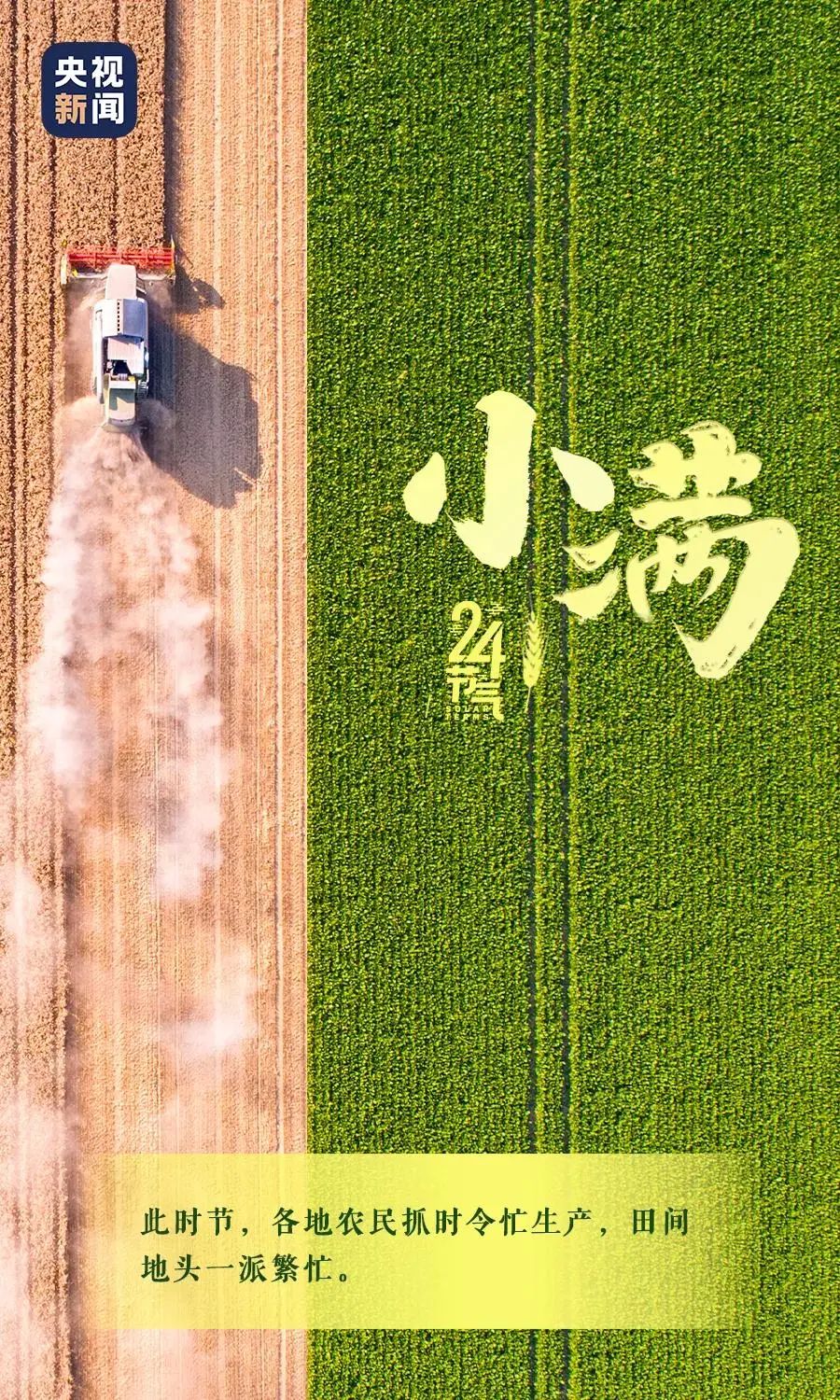 玉溪发布(微信)