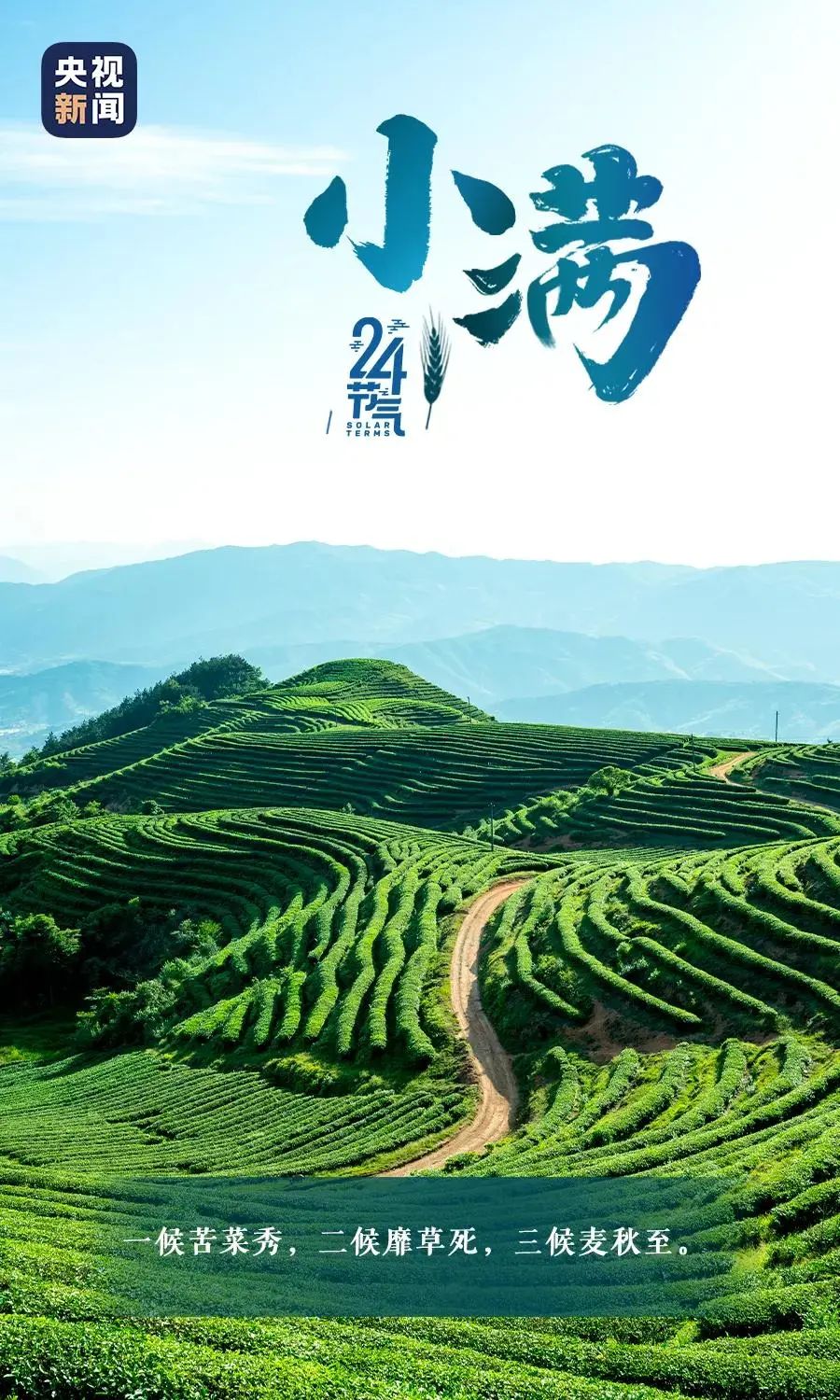 玉溪发布(微信)