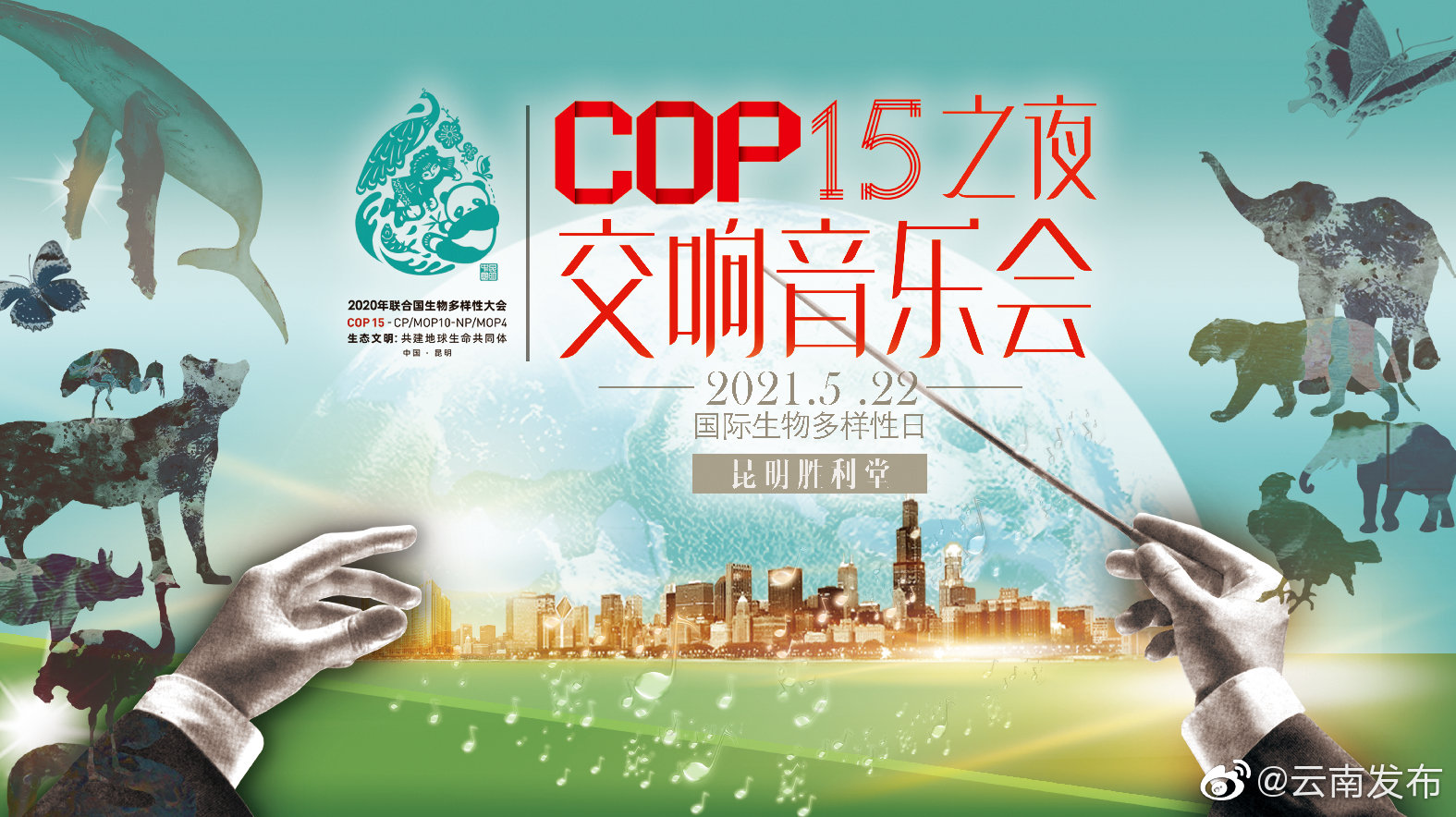 “云南发布”微博