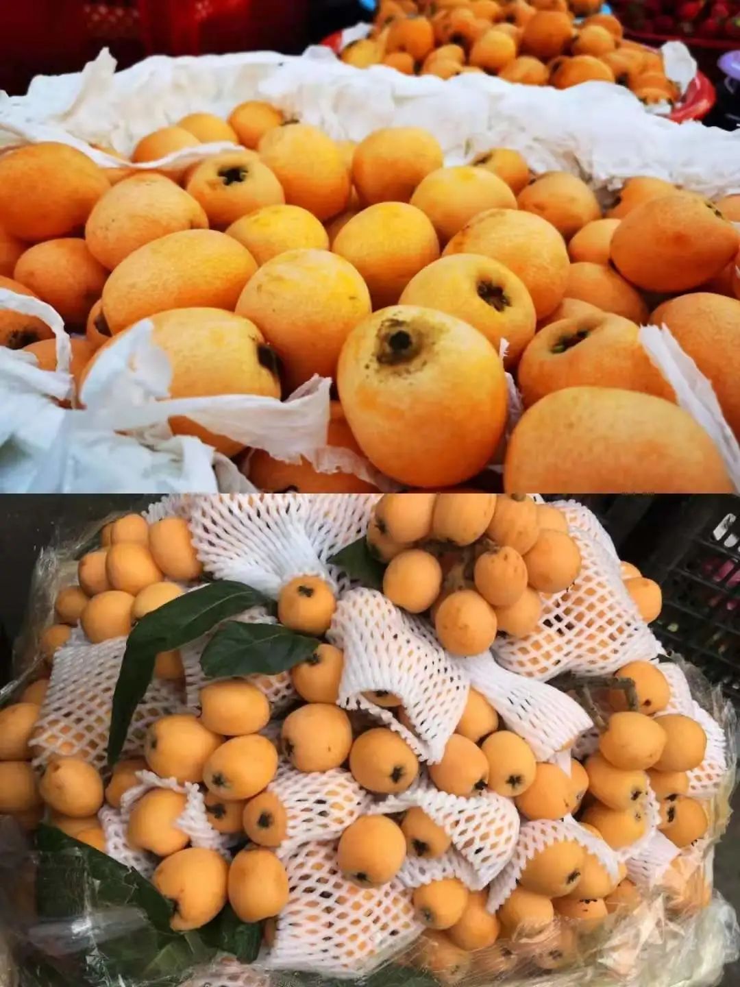 云南楚雄网(微信)