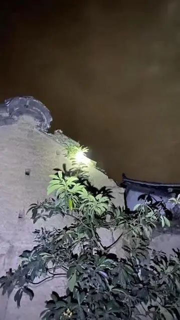 918云南交通台(微信)