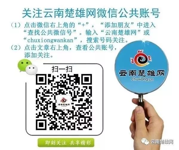 云南楚雄网(微信)