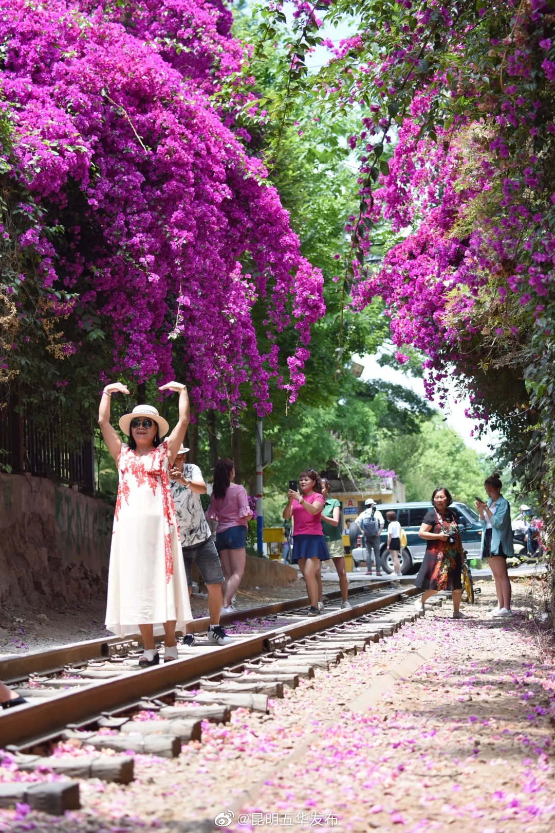 “昆明五华发布”微博