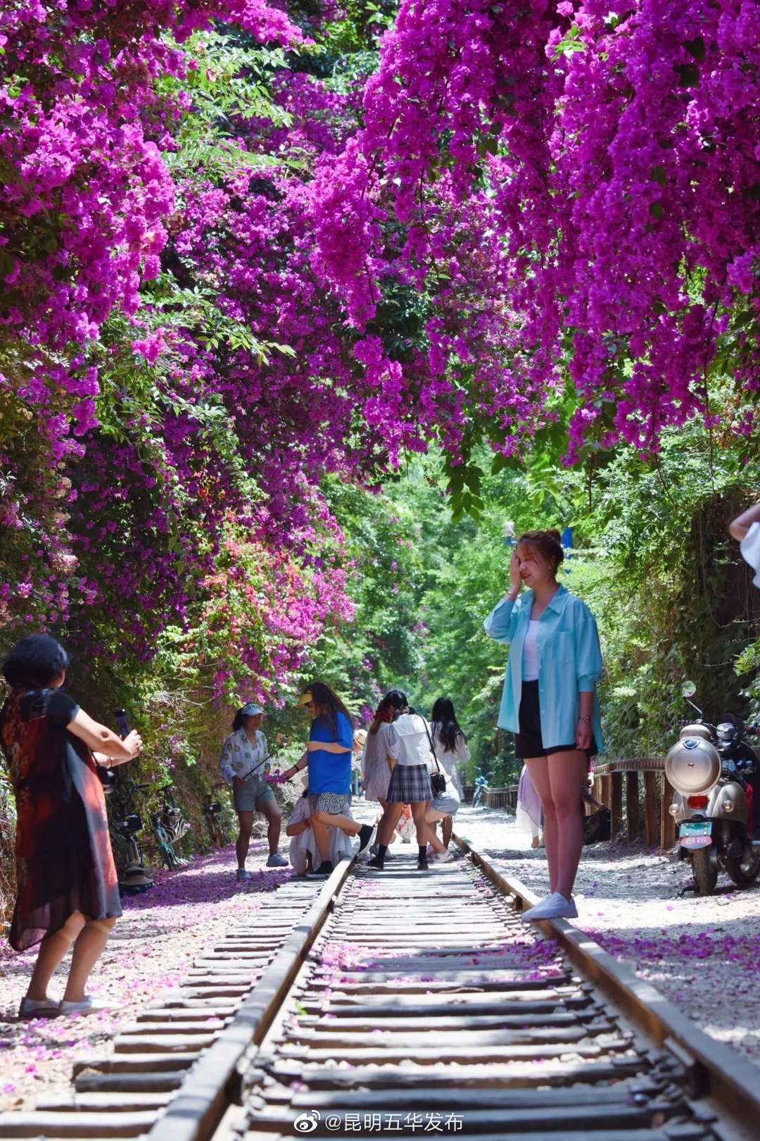 “昆明五华发布”微博