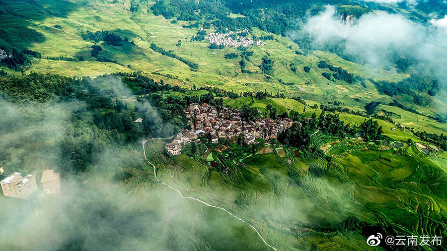 云南环境空气质量预报