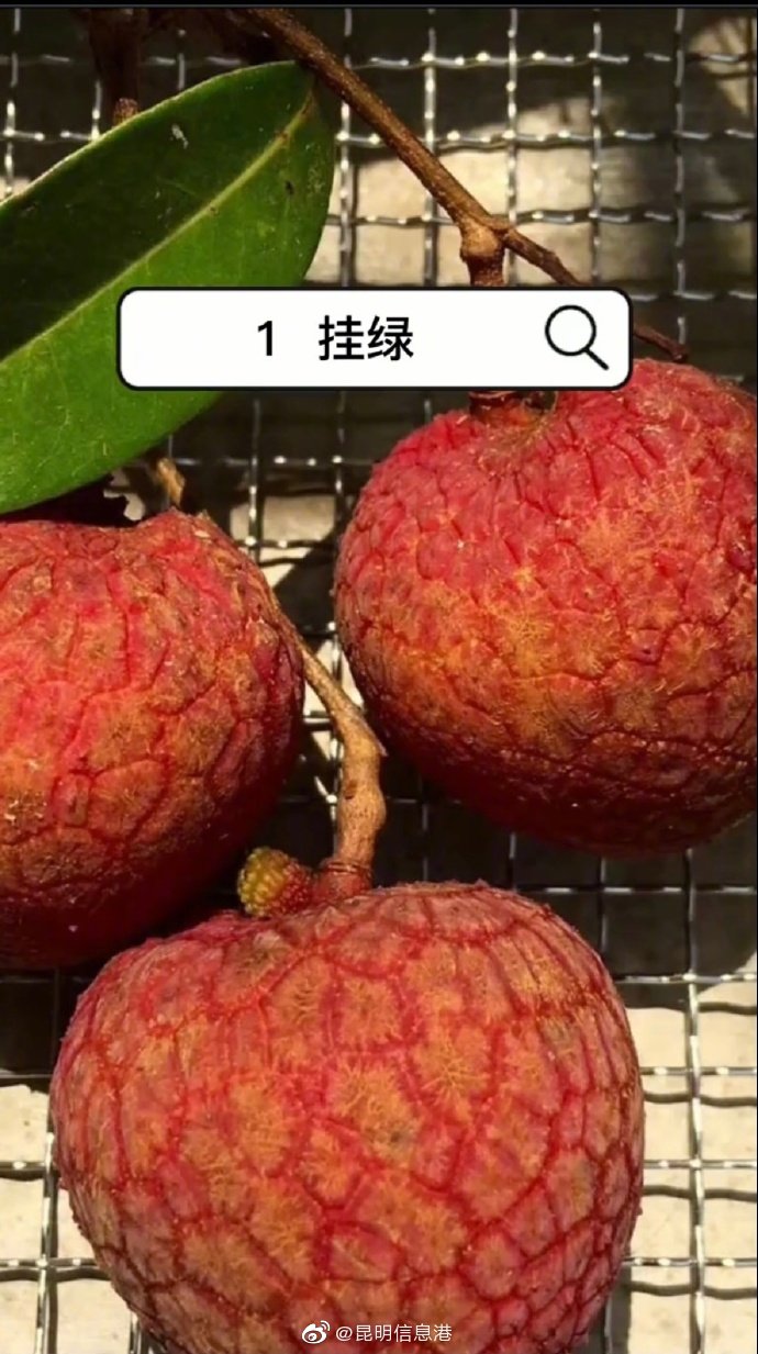 昆明信息港微博