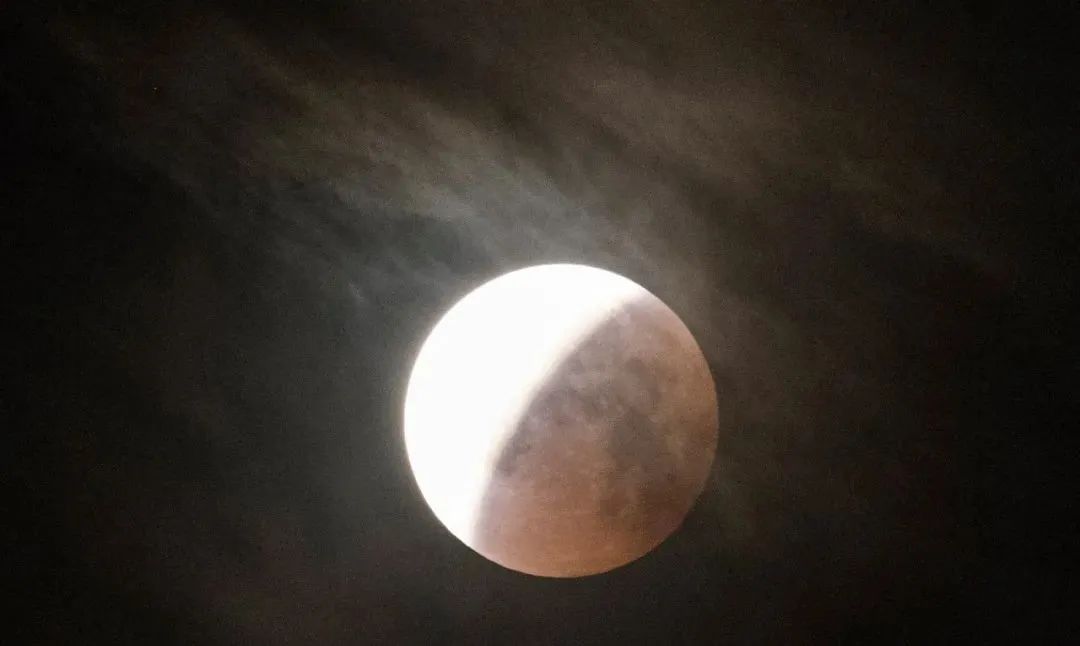 春城晚报(微信)