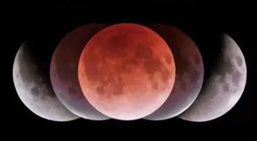 春城晚报(微信)