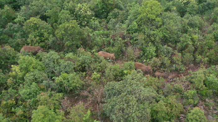 “云南发布”微博