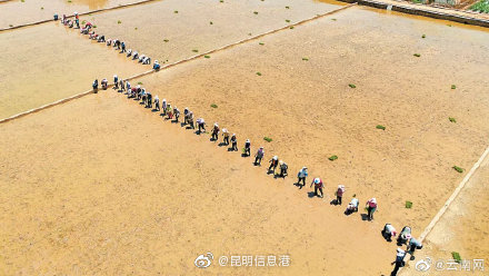 昆明信息港微博