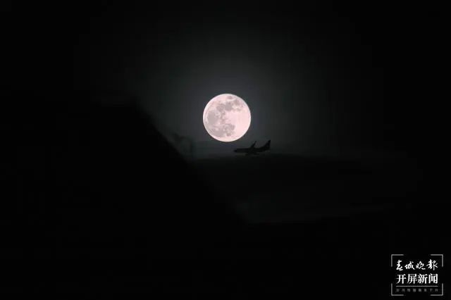 春城晚报(微信)