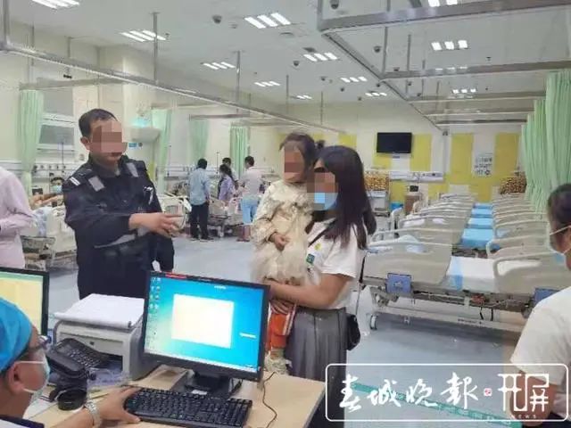 春城晚报(微信)