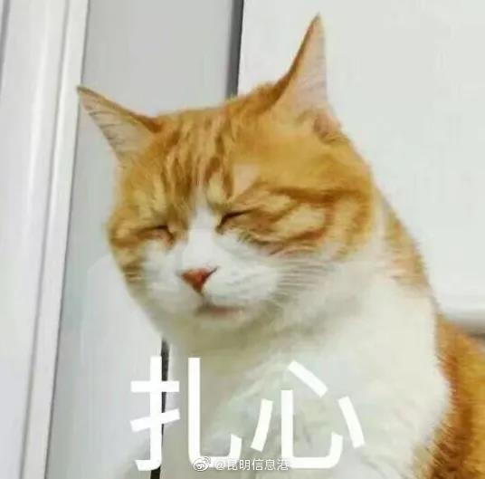 昆明信息港微博