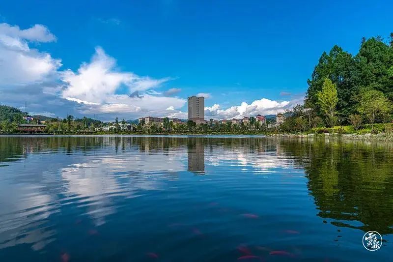 昆明信息港(微信)