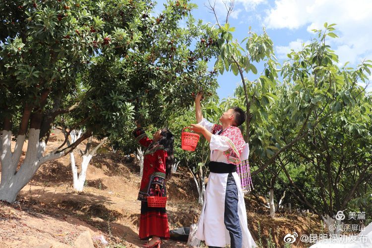 “昆明禄劝发布”微博
