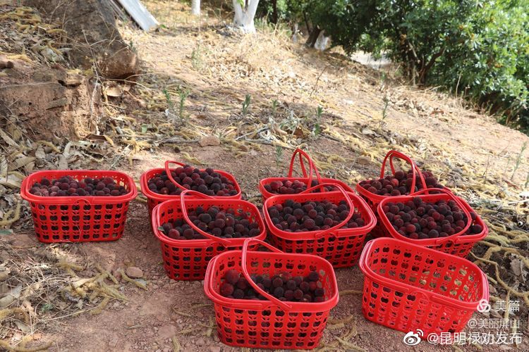 “昆明禄劝发布”微博