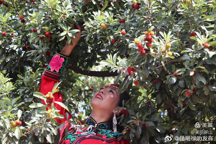 “昆明禄劝发布”微博