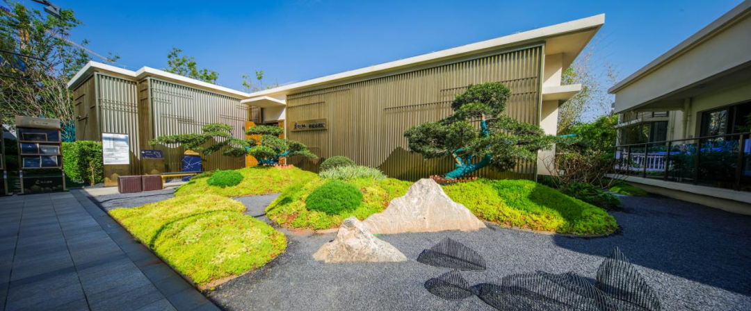 春城晚报(微信)