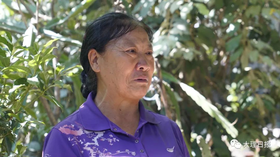 大理日报(微信)