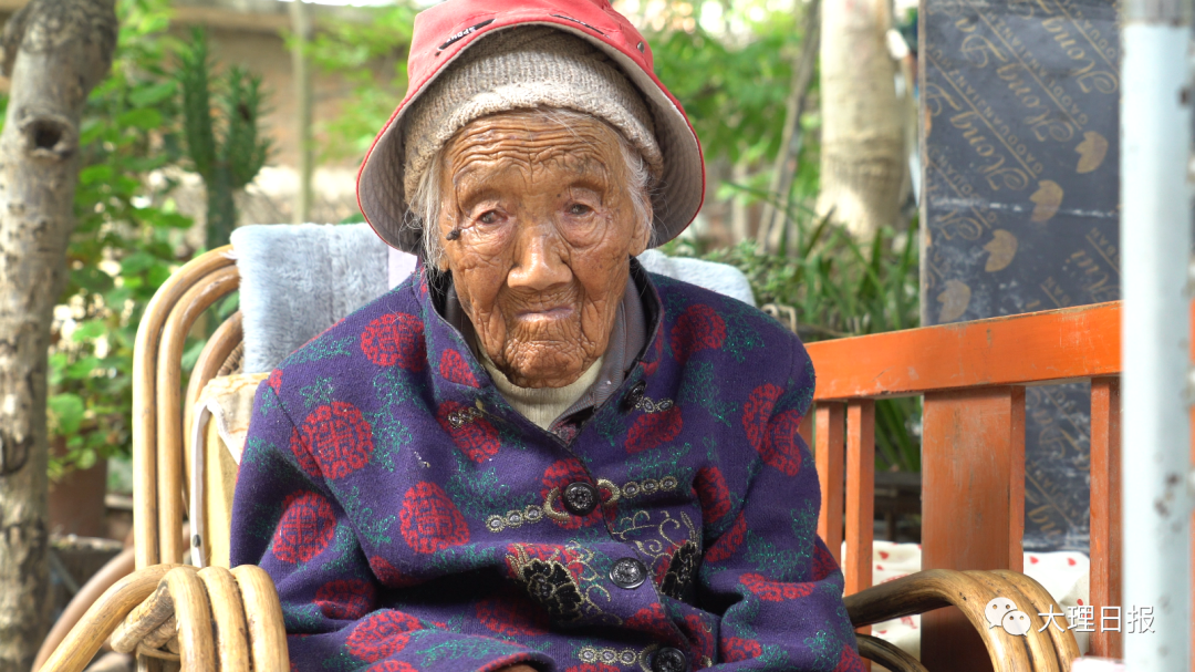 大理日报(微信)