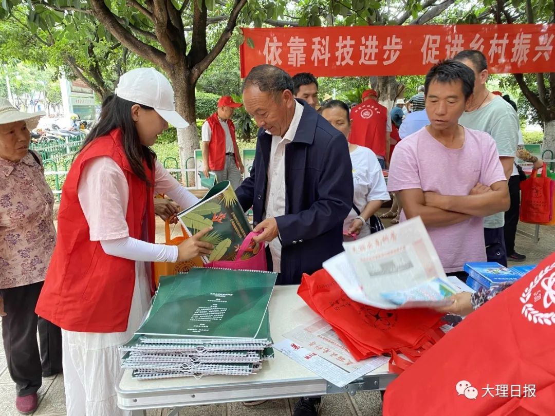 大理日报(微信)