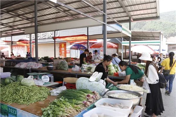 大理日报(微信)