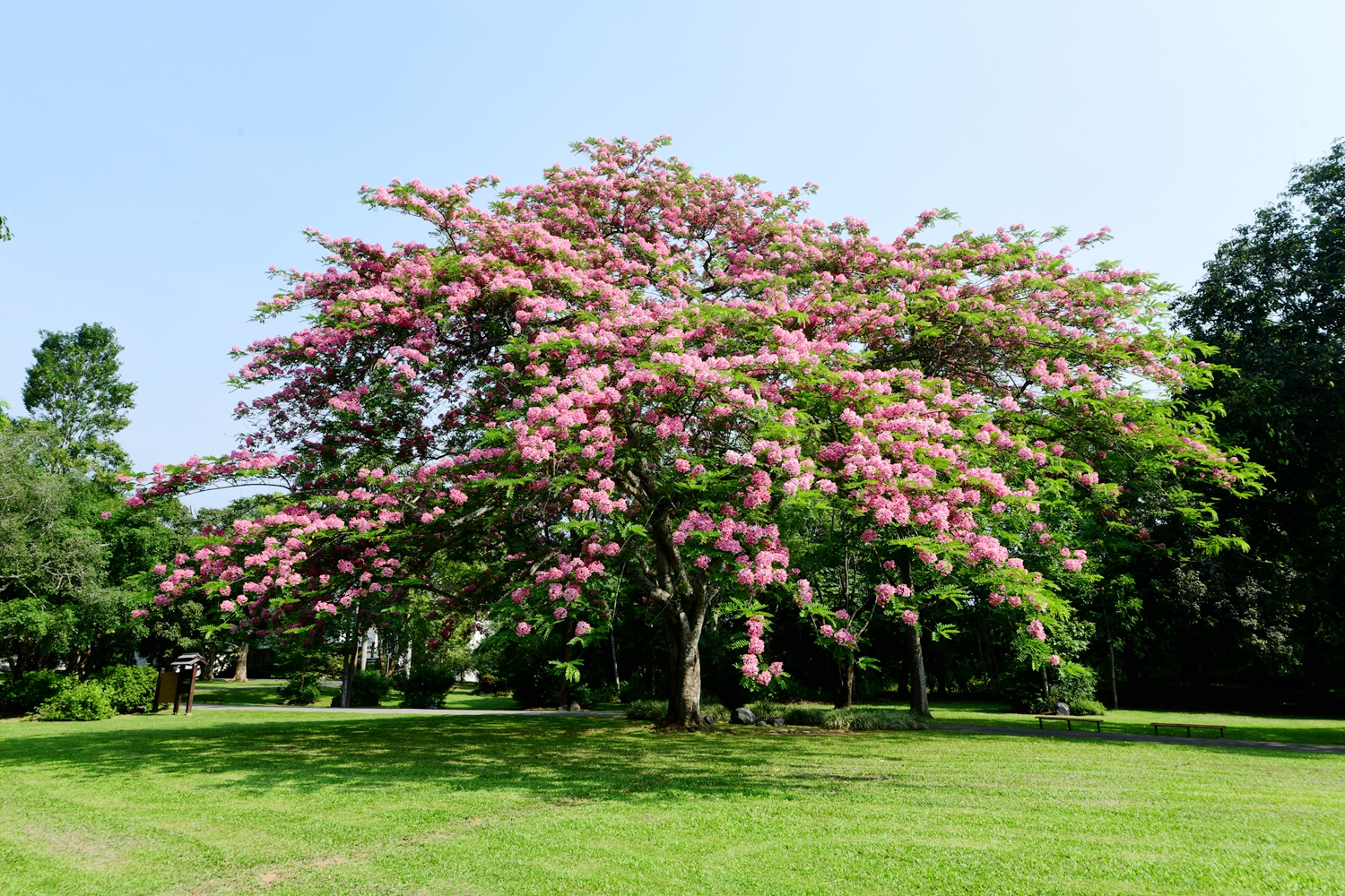 中国科学院西双版纳热带植物园