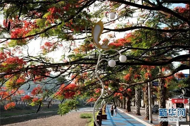 云南广播电视台(微信)