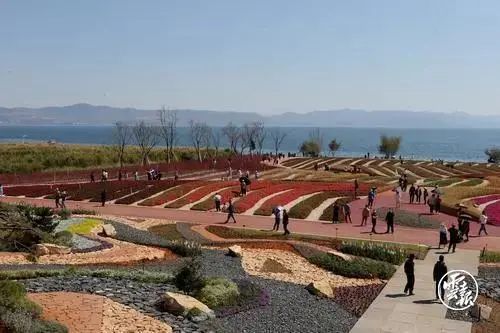 云南广播电视台(微信)