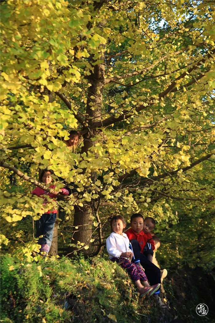 云南广播电视台(微信)