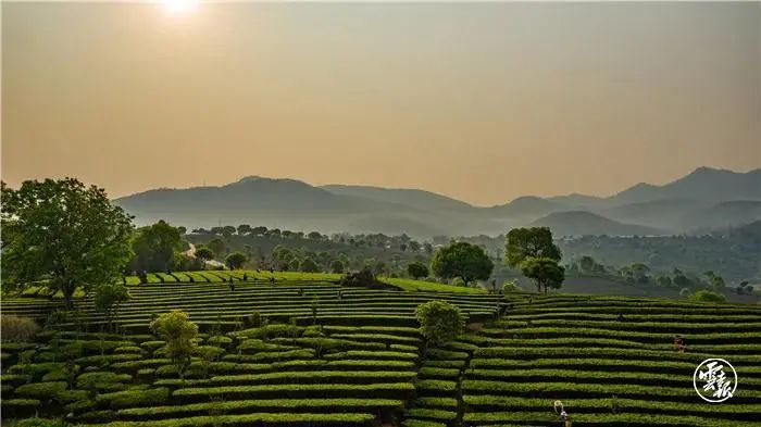 云南广播电视台(微信)