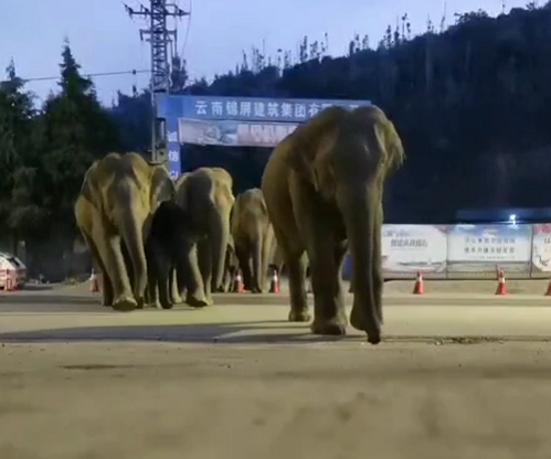 春城晚报(微信)